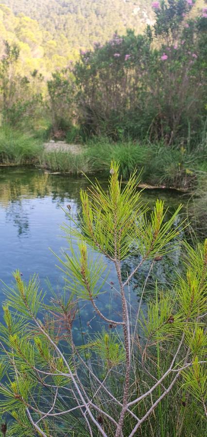 La Chirrichana Bicorp Екстериор снимка